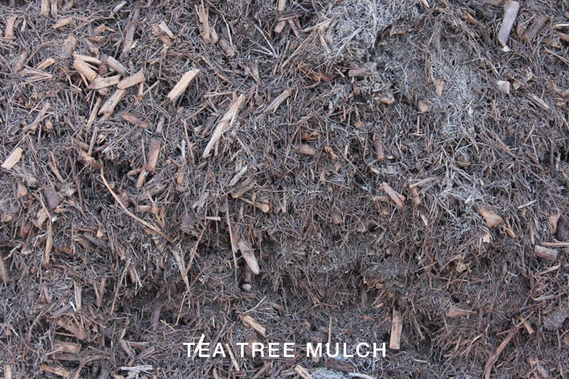 Tea Tree Mulch